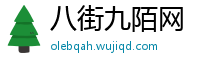 八街九陌网